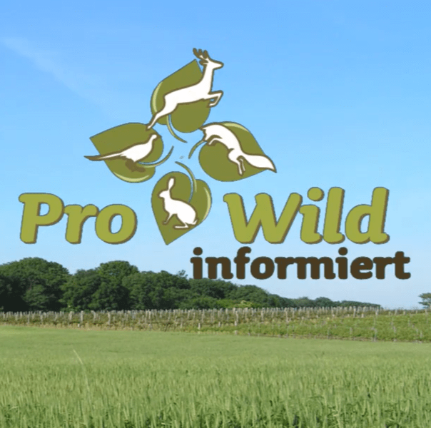 Du betrachtest gerade NACHRICHTEN